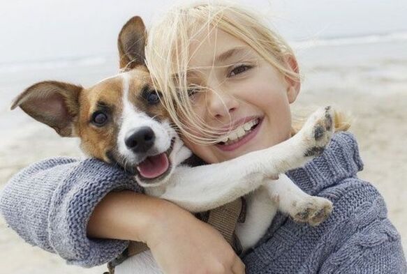dog parasite infestation