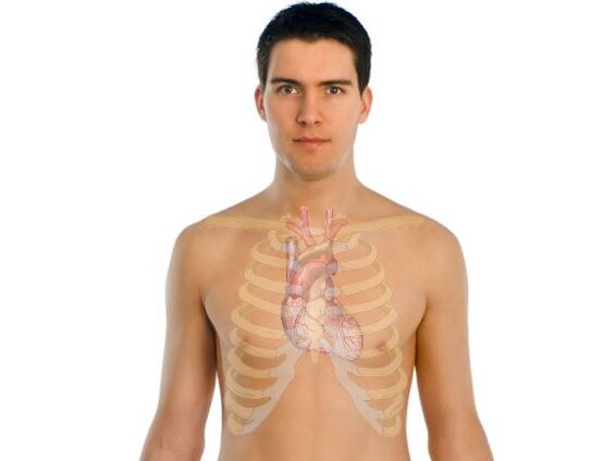 how parasites affect human organs